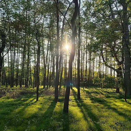 Galiana Gæstehus Hatin (Jindrichuv Hradec)