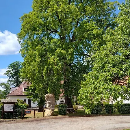 Galiana * Hatin (Jindrichuv Hradec)