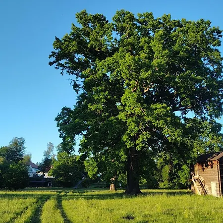 Galiana Hatin (Jindrichuv Hradec)
